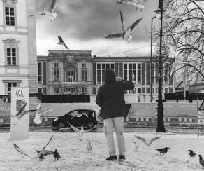 a nice guy feeds the pigeons